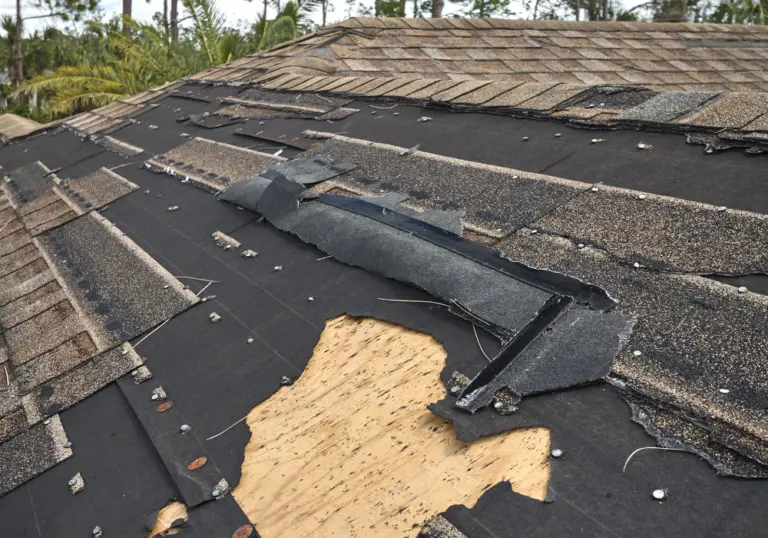 roof hail damage 768x538